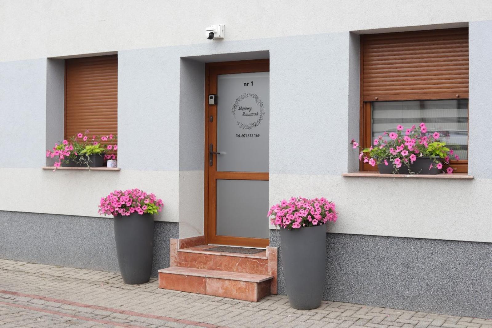 Apartament Mietowy Rumianek Lwowek Экстерьер фото